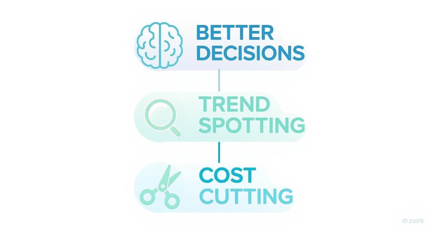 Infographic about what is business intelligence analytics