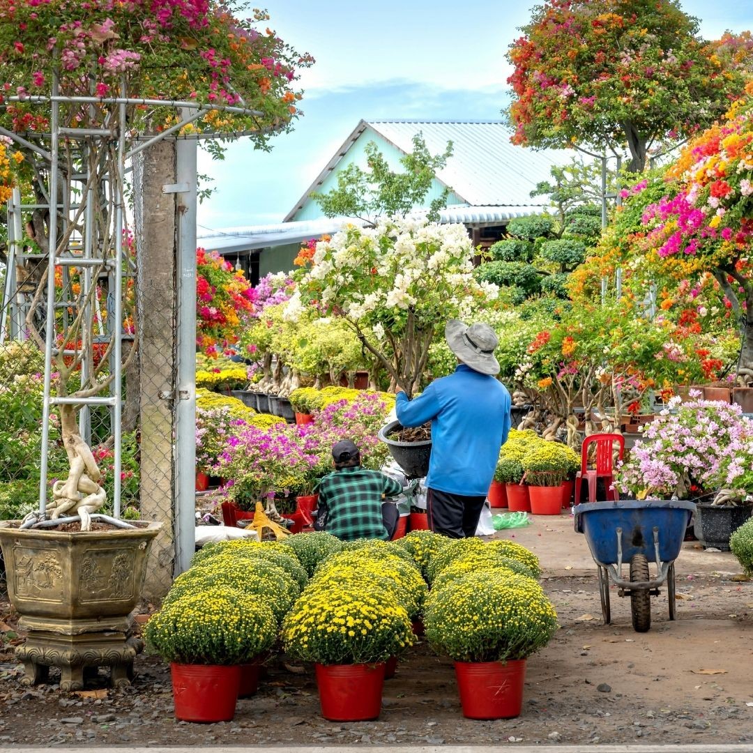 a greenhouse filled with lots of plants and flowers