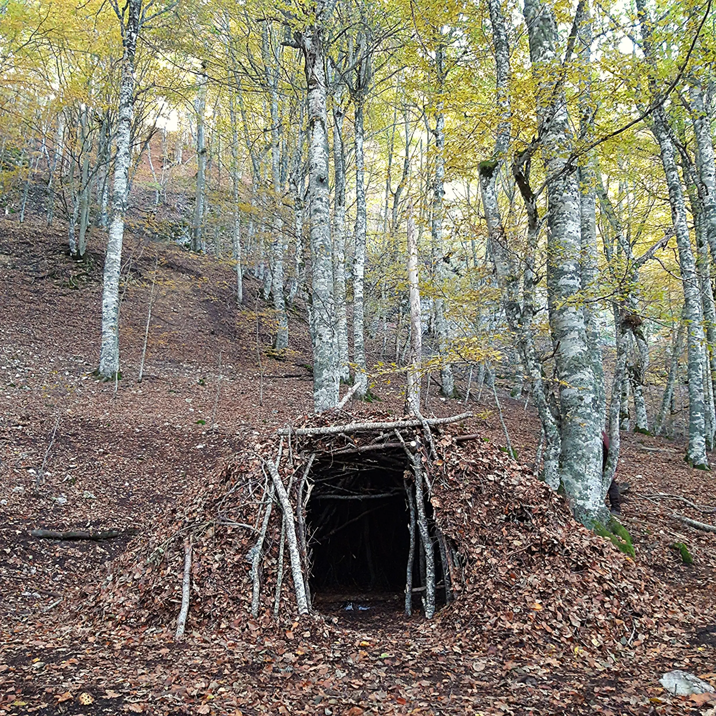 Andrea Modesti, istruttore di survival e bushcraft, esperto in campi avventura per ragazzi e corsi di sopravvivenza outdoor