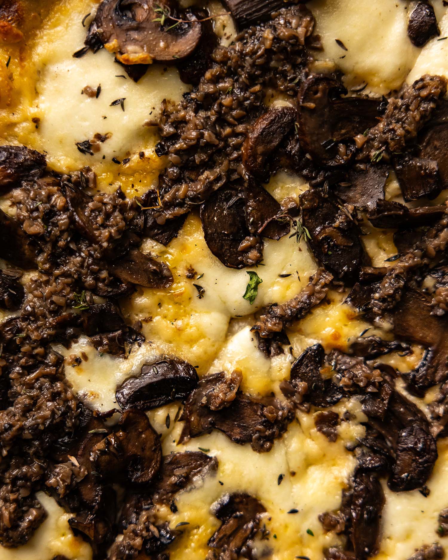 Wooden Paddle Smoke and Shrooms black truffle close up pizza detail La Grange IL