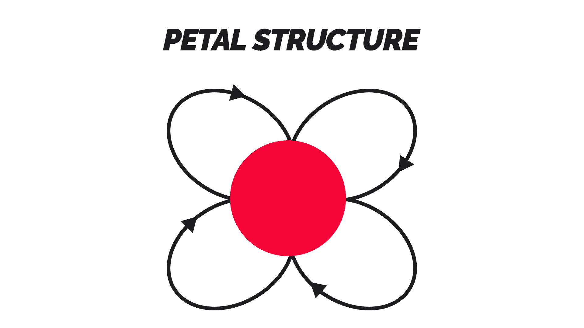 Micro storytelling technique petal structure