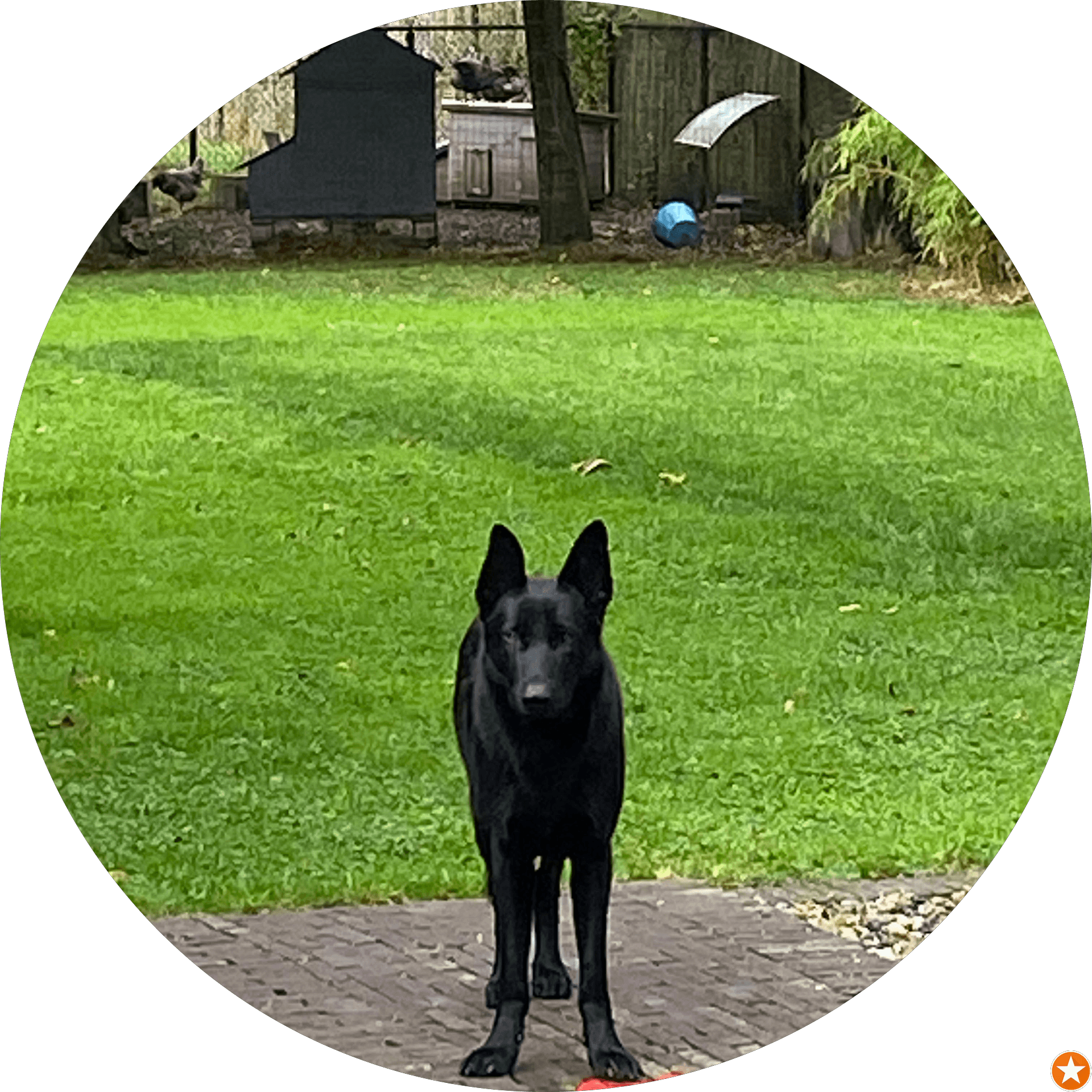 Profielfoto van een Astro gebruiker