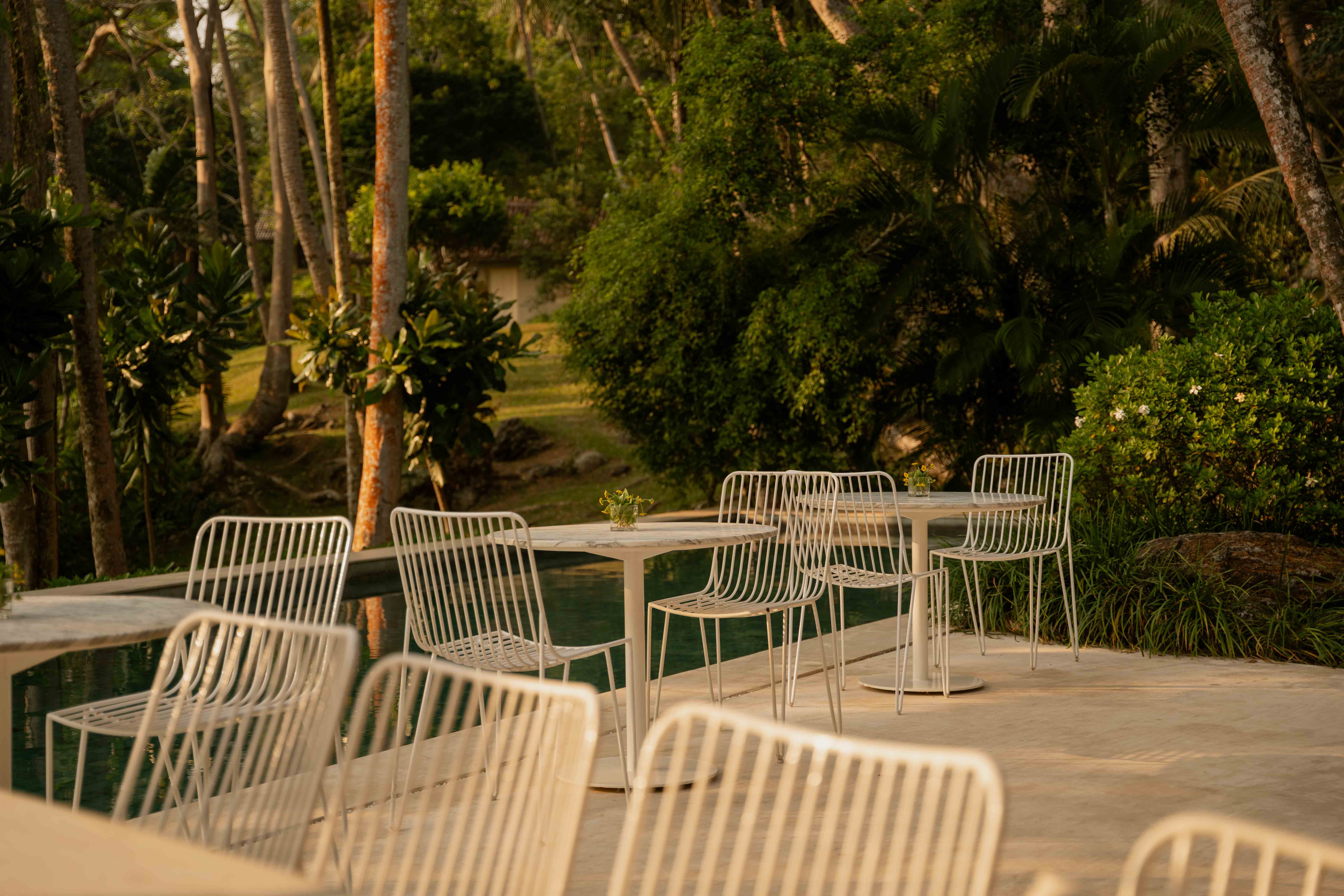 Outdoor dinning area with with chairs next to a pool surrounded by jungle