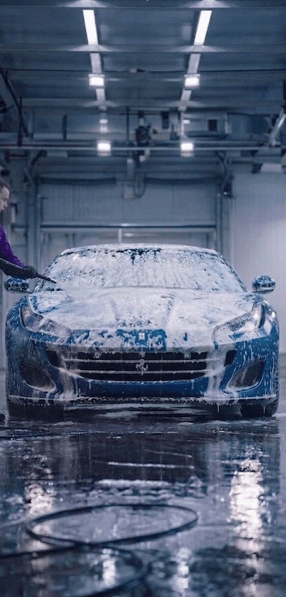 Portrait of portfolio creator – back view