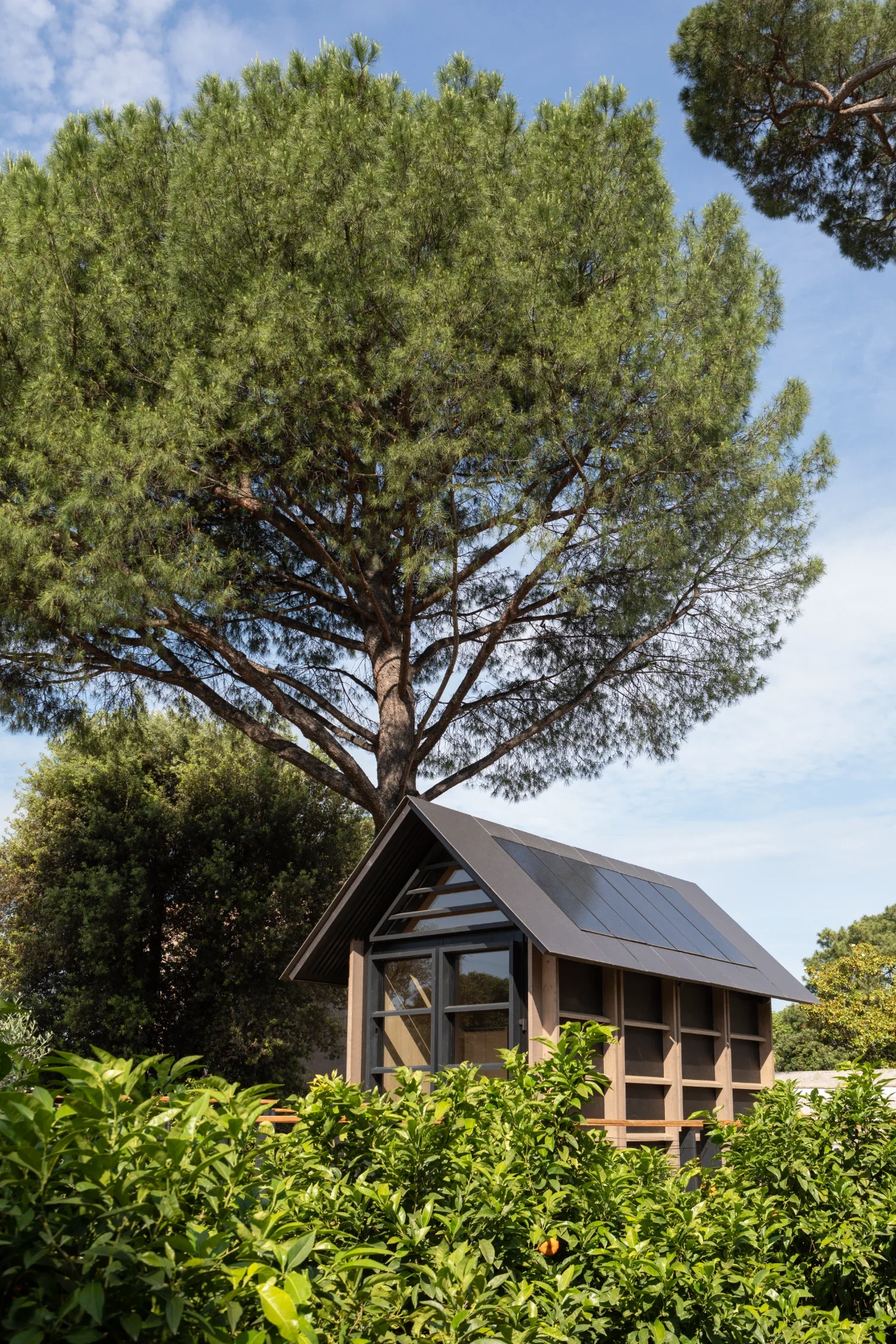 Écolodge Villa Médicis sous un grand pin parasol, structure bois et panneau solaire 