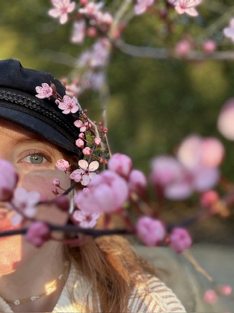 The image featured in the middle of the about us page