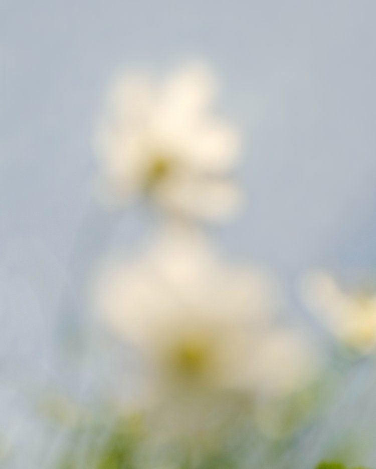 Captured moment from a corporate or social event.