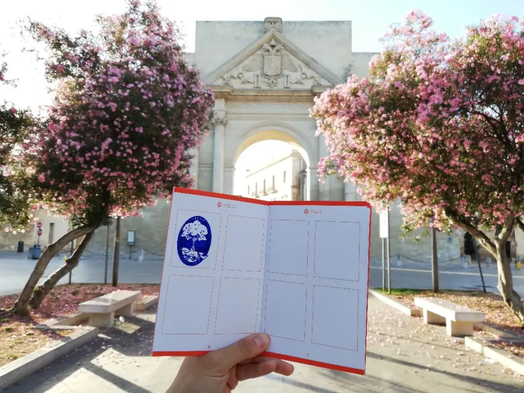 Viaggiatore mostra passaporto del pellegrino