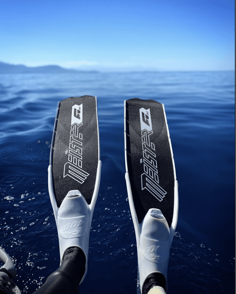 meister fins fins