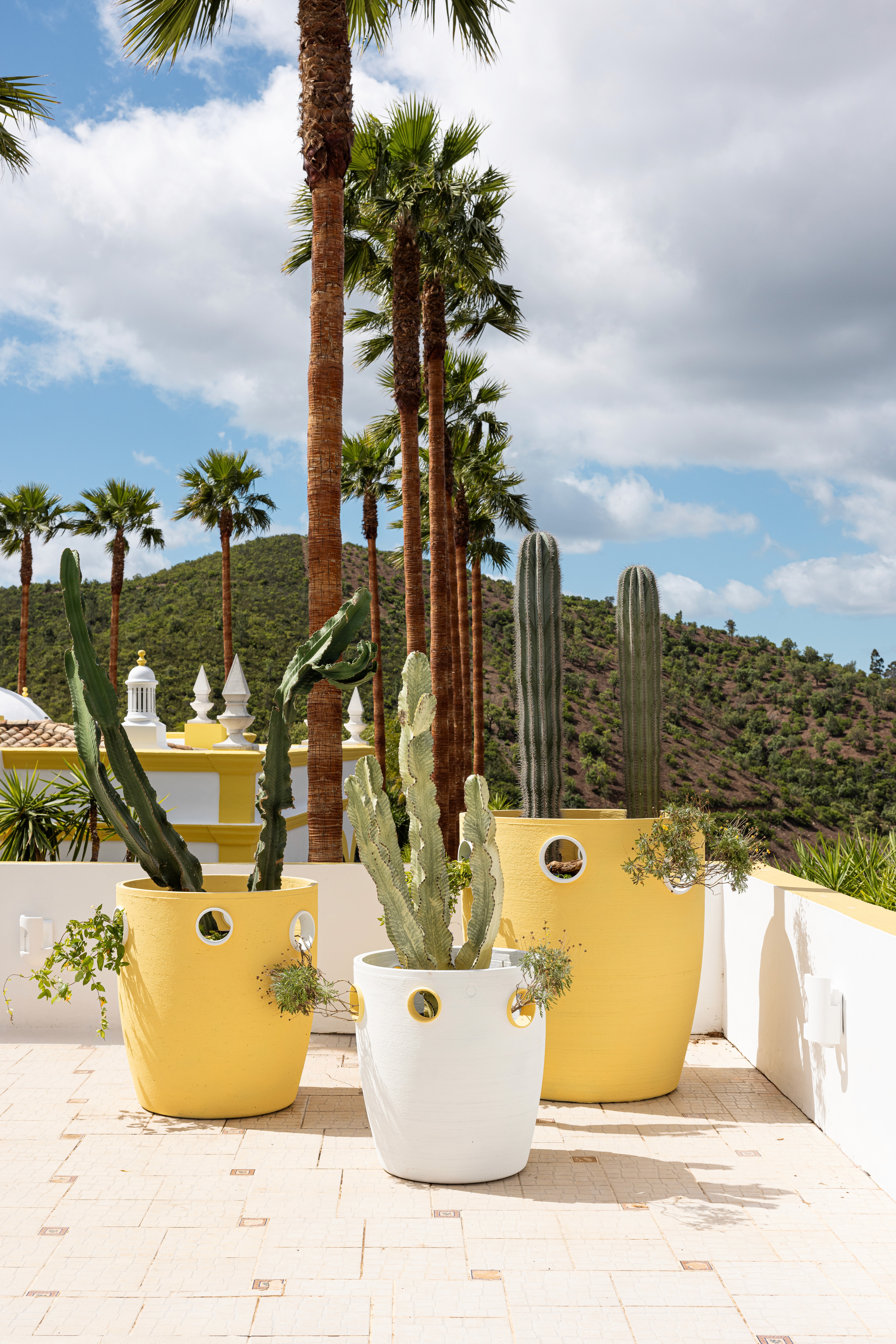 Here comes the alt text