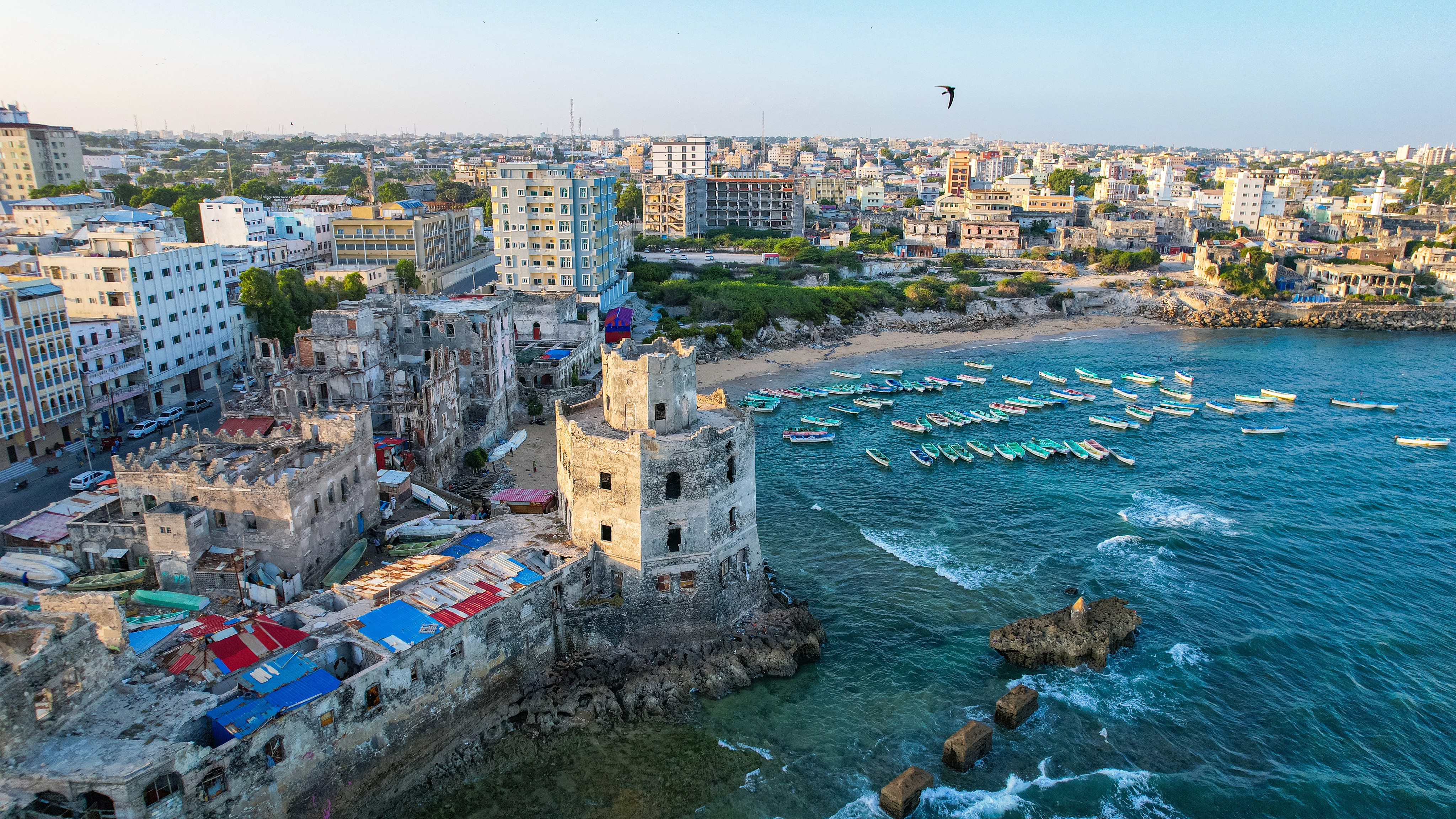 aerial photography of cityscape at night