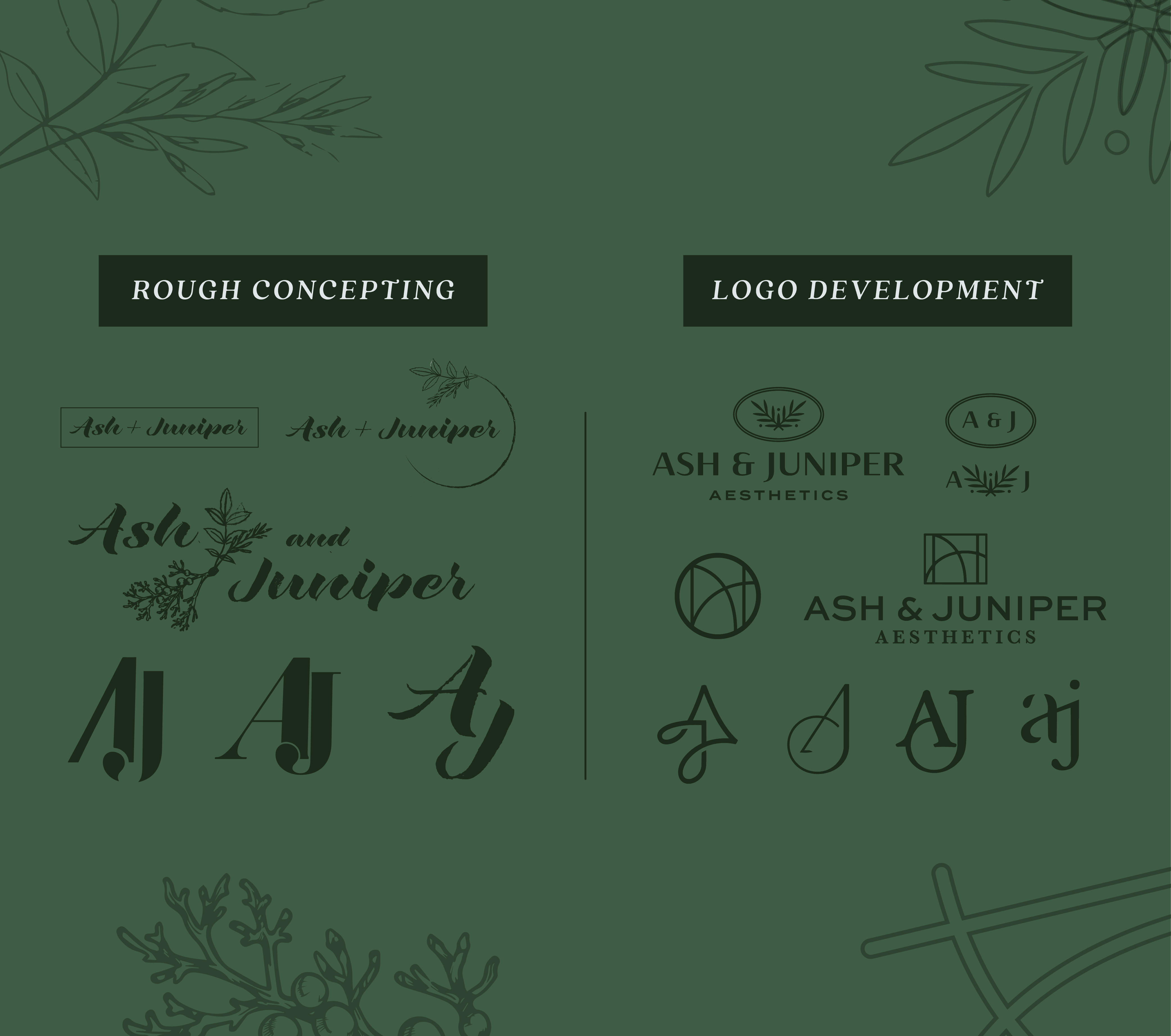 Ash & Juniper Logo Concept Development