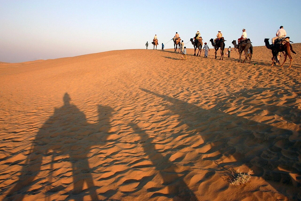 Camel safari across Thar dunes