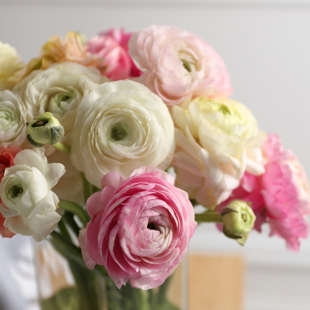 Dahlias and lisianthus for romantic floral arrangements