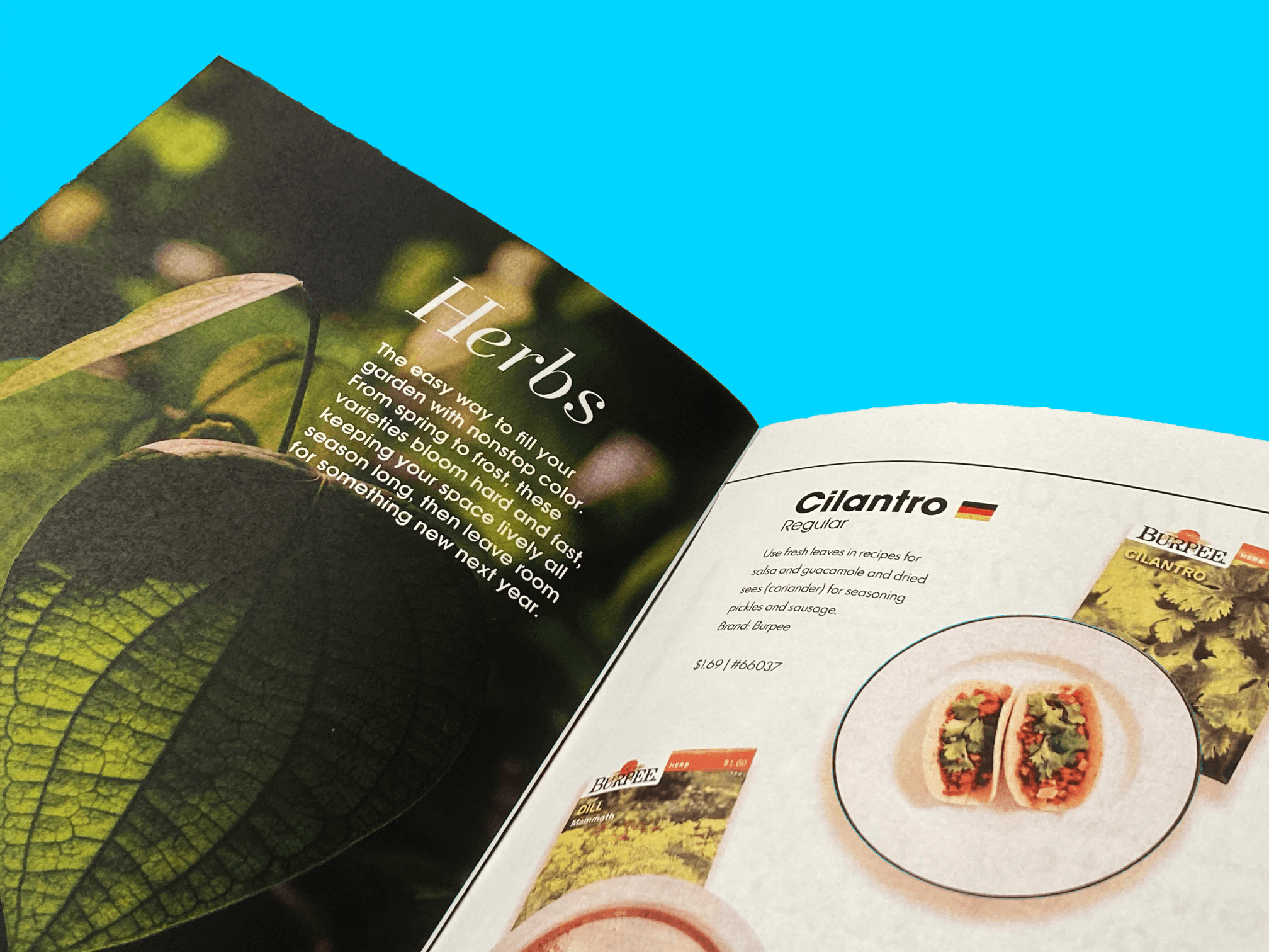 Open spread of a catalog laying at an angle. The header reads "Herbs" with a small caption and on the opposite page is the item description for cilantro with an image of cilantro on tacos.
