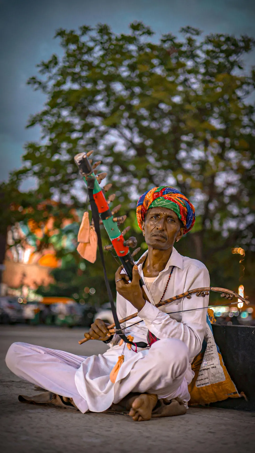 red train travelling near body of water