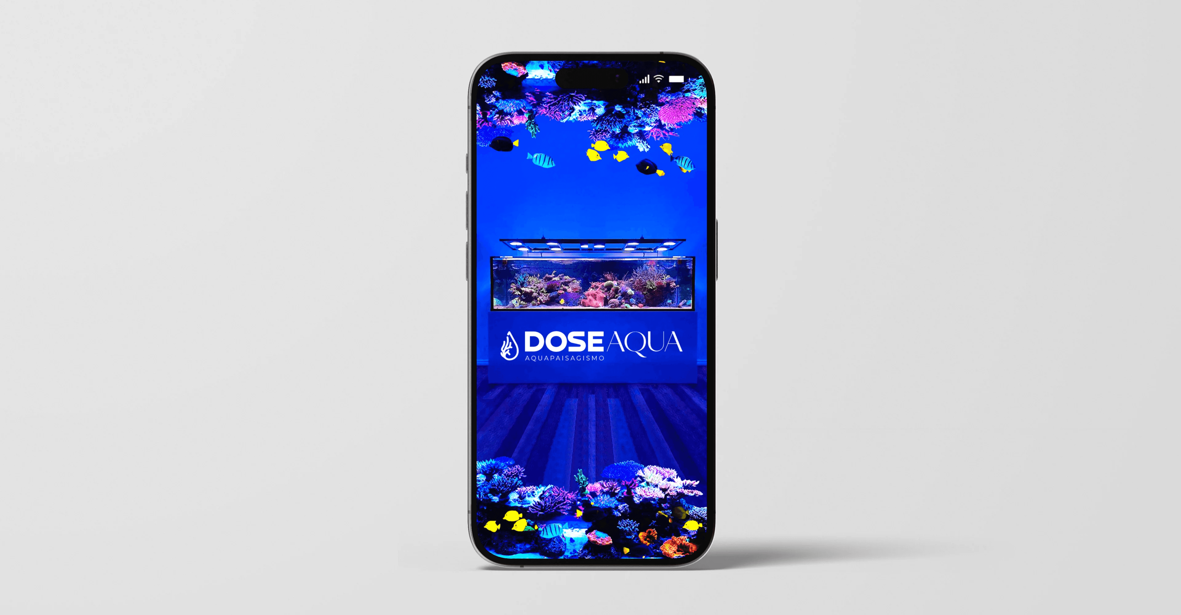 Large Project Gallery Image #2