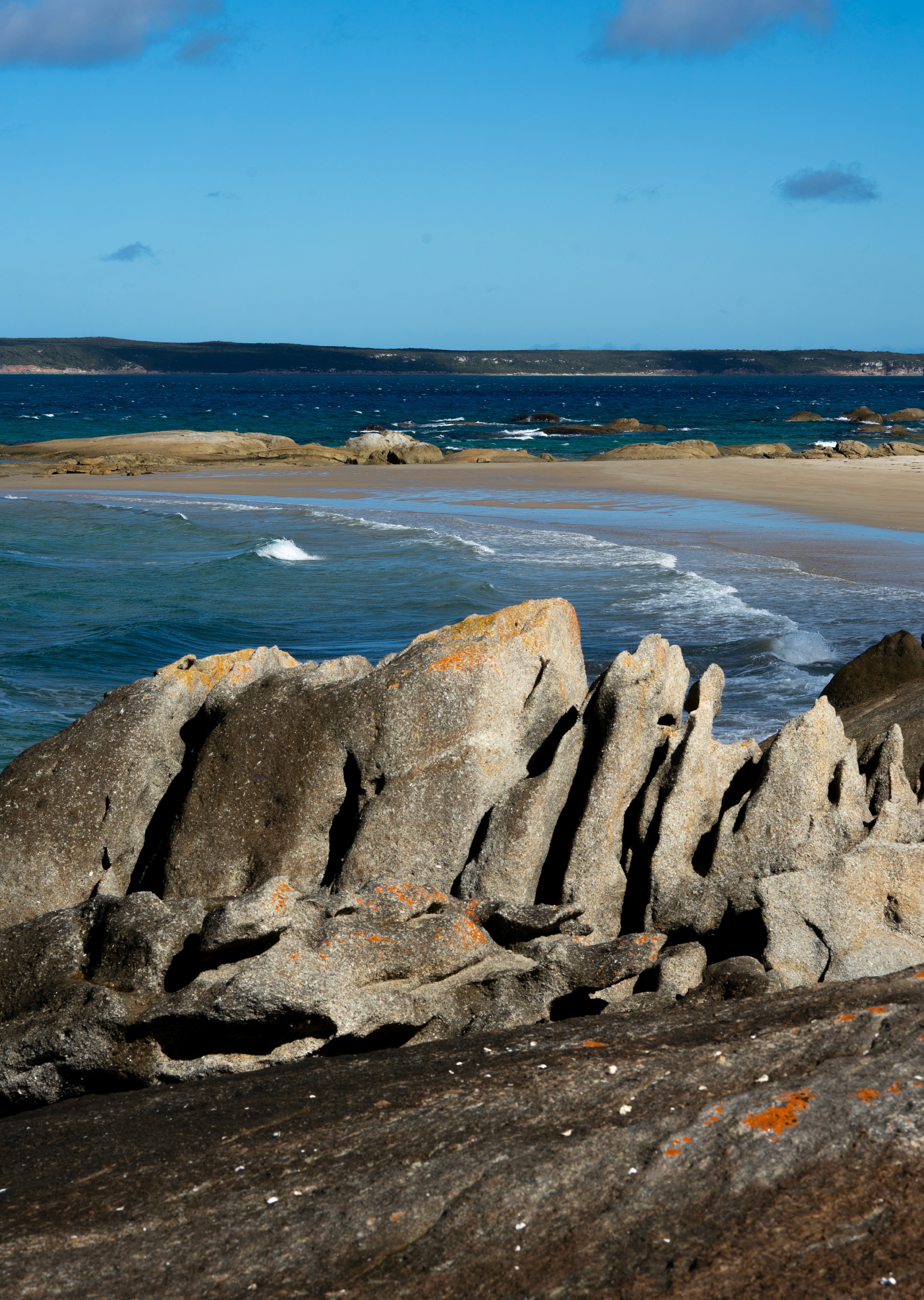 Three Hummock Island (Tasmania) - Branding and visual identity - Photography