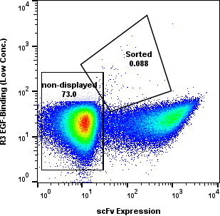 EGF yeast display FACS R3 flow plot with non-displayed and sorted gates