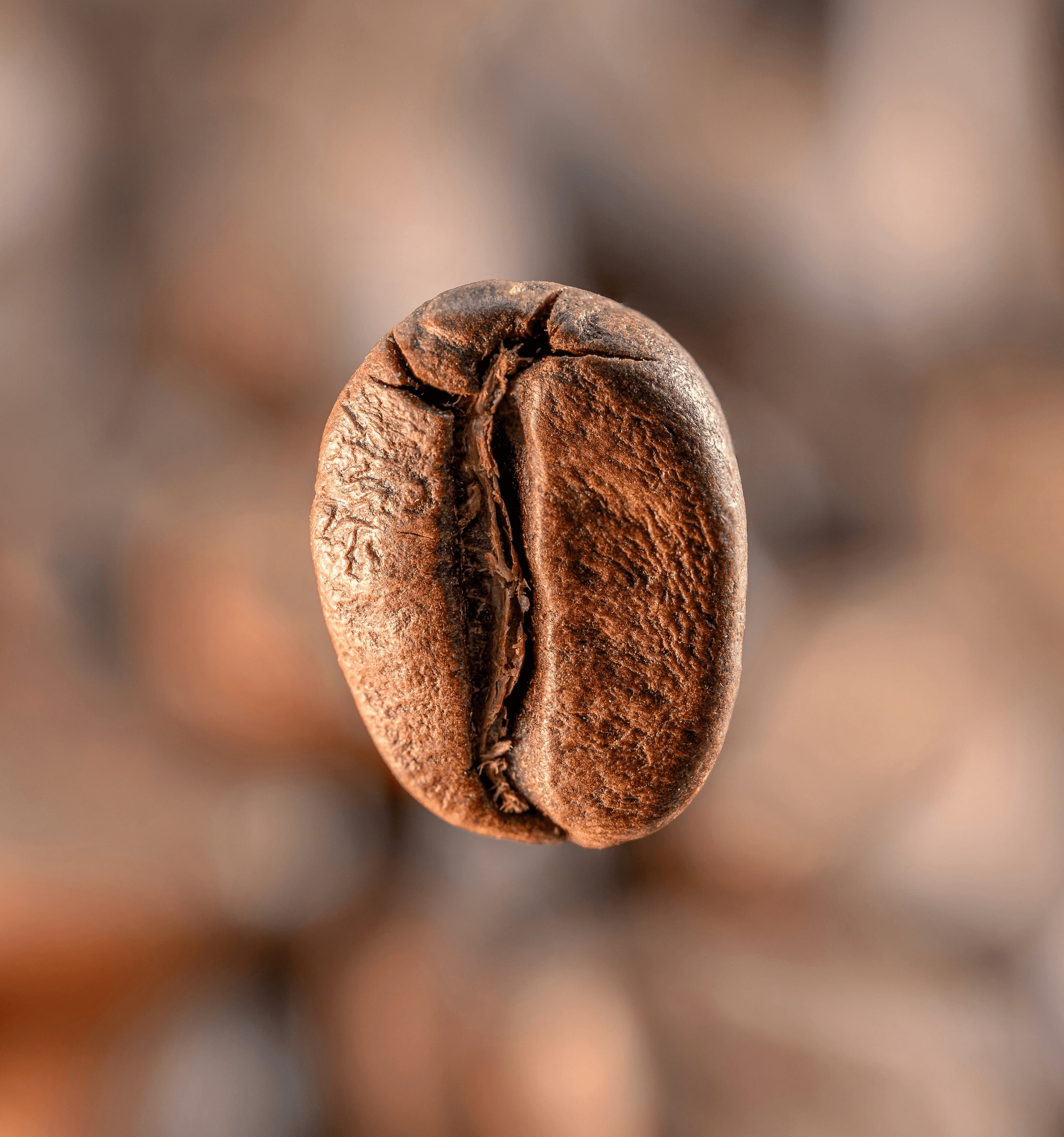 A single roasted coffee bean floats in focus.