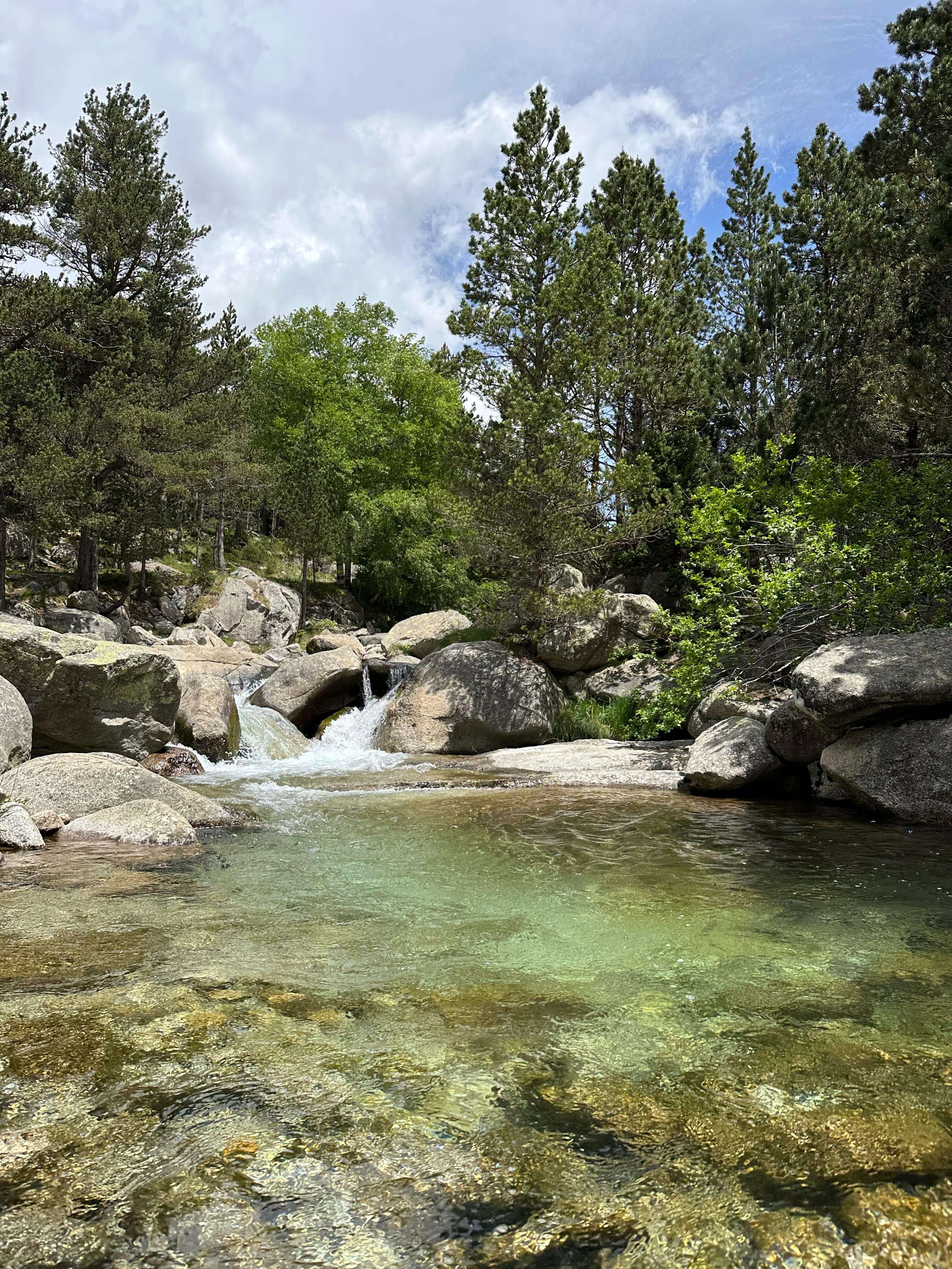 Guided fly fishing experience in the Spanish Pyrenees with light tackle