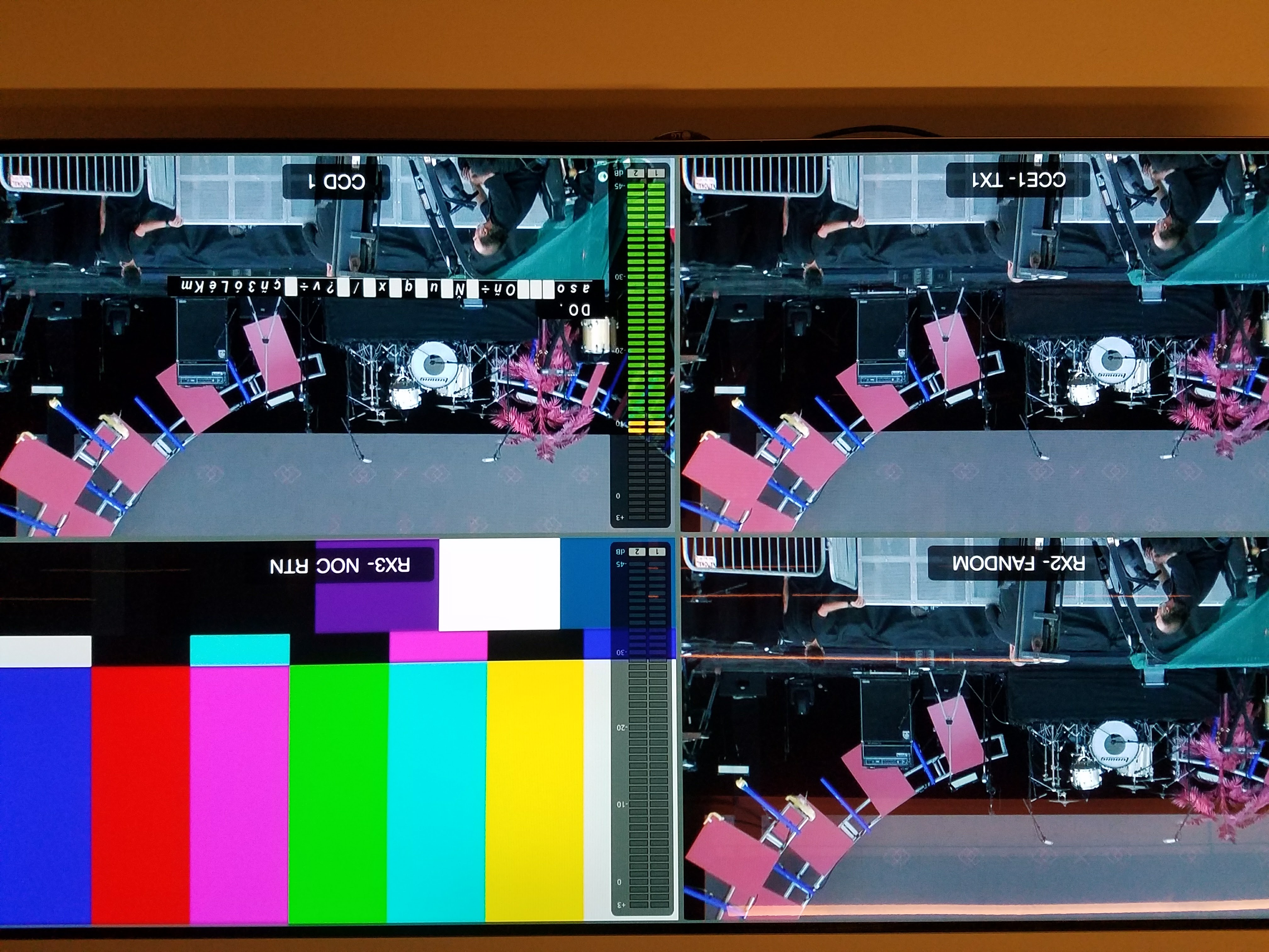 a woman with flowers