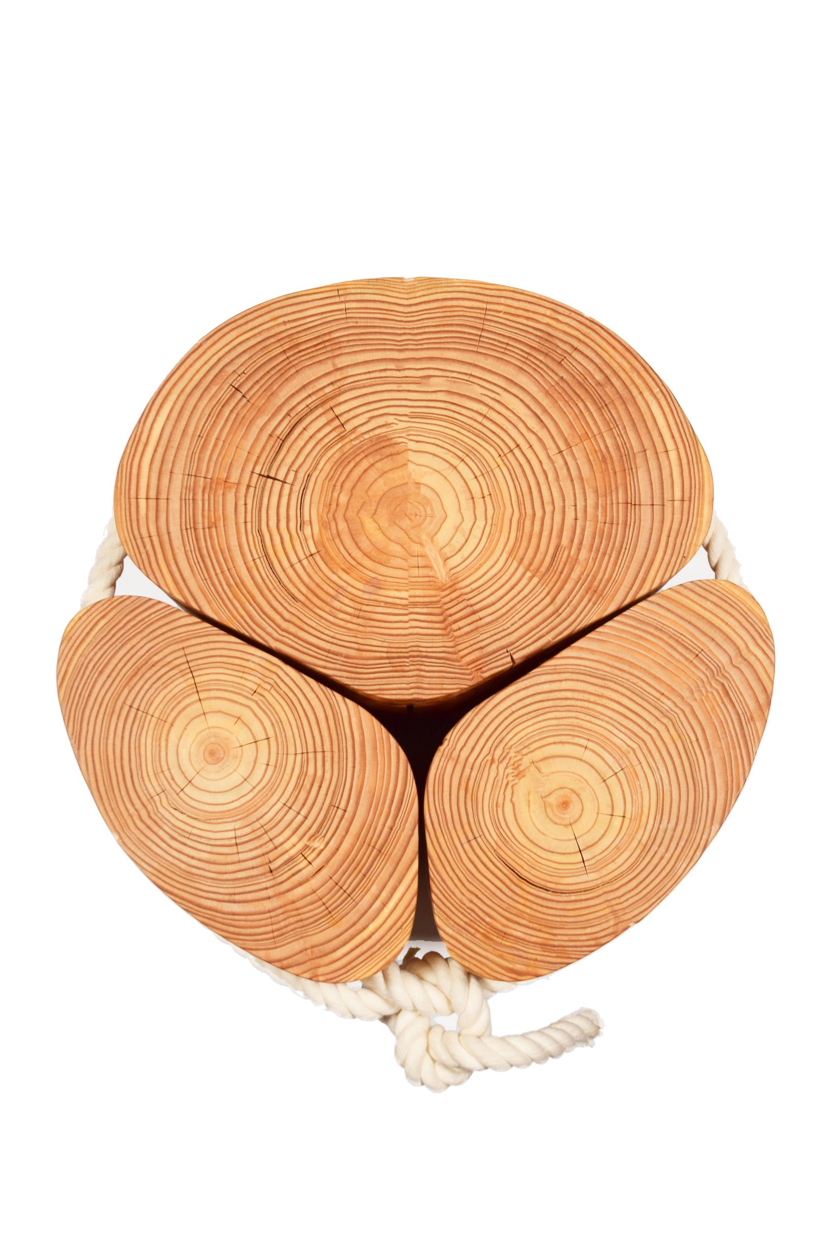 Dom Pérignon vineyards from the sky