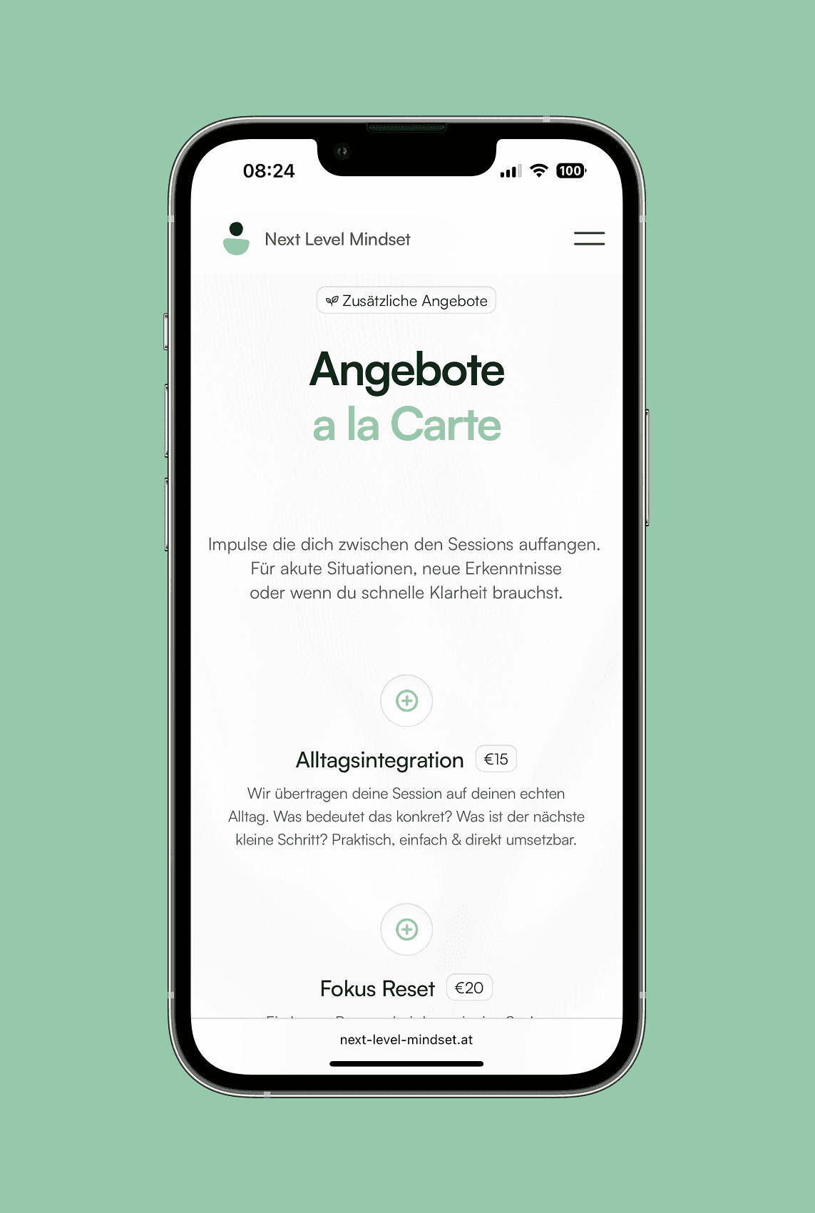 Mockup Mobile Website, spezielle Angebote