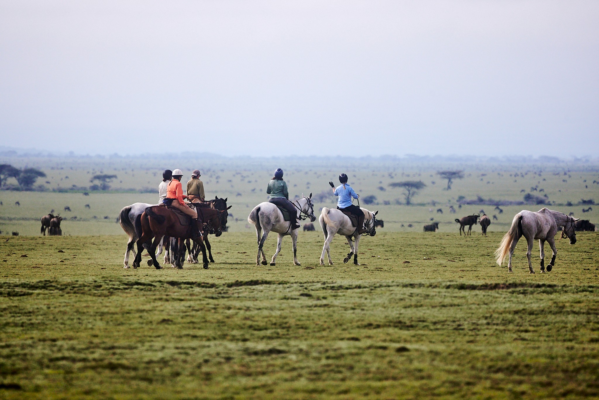 Grupp av ryttare på ridresa i Afrika galopperar över Serengetis vidsträckta slätter medan damm och gnuhjordar rör sig över horisonten under the great migration.