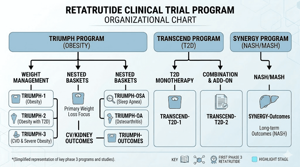 Retatrutide Phase 3 clinical trial programs overview including TRIUMPH TRANSCEND and SYNERGY