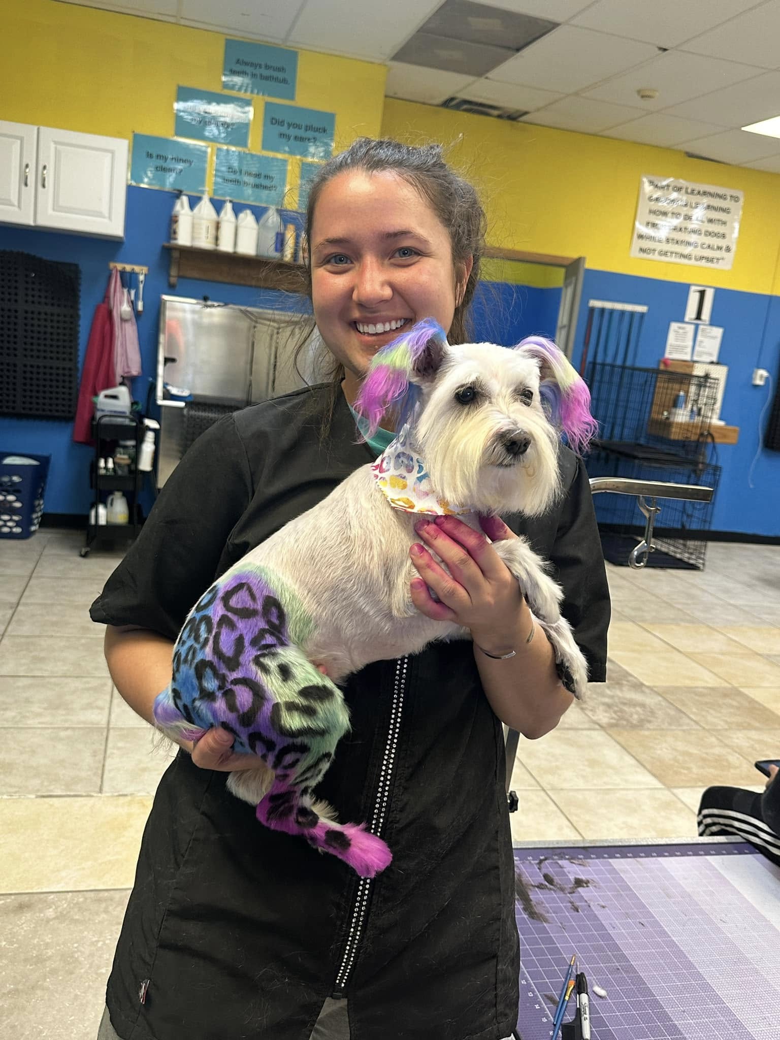 Personal Pet Grooming Must Bring you own dog