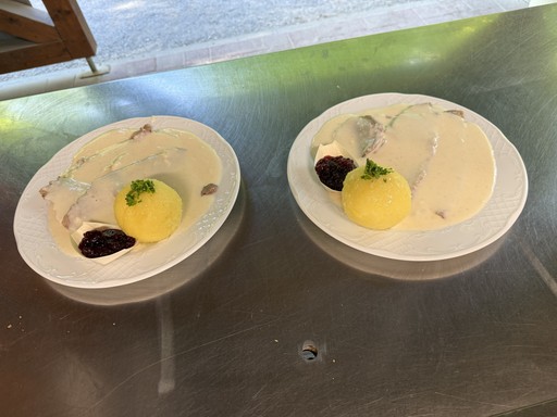 Close-up of a tree stump showing growth rings and a textured brown wood surface.