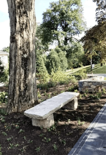 Stone bench beside a large tree in a landscaped garden and pathway.