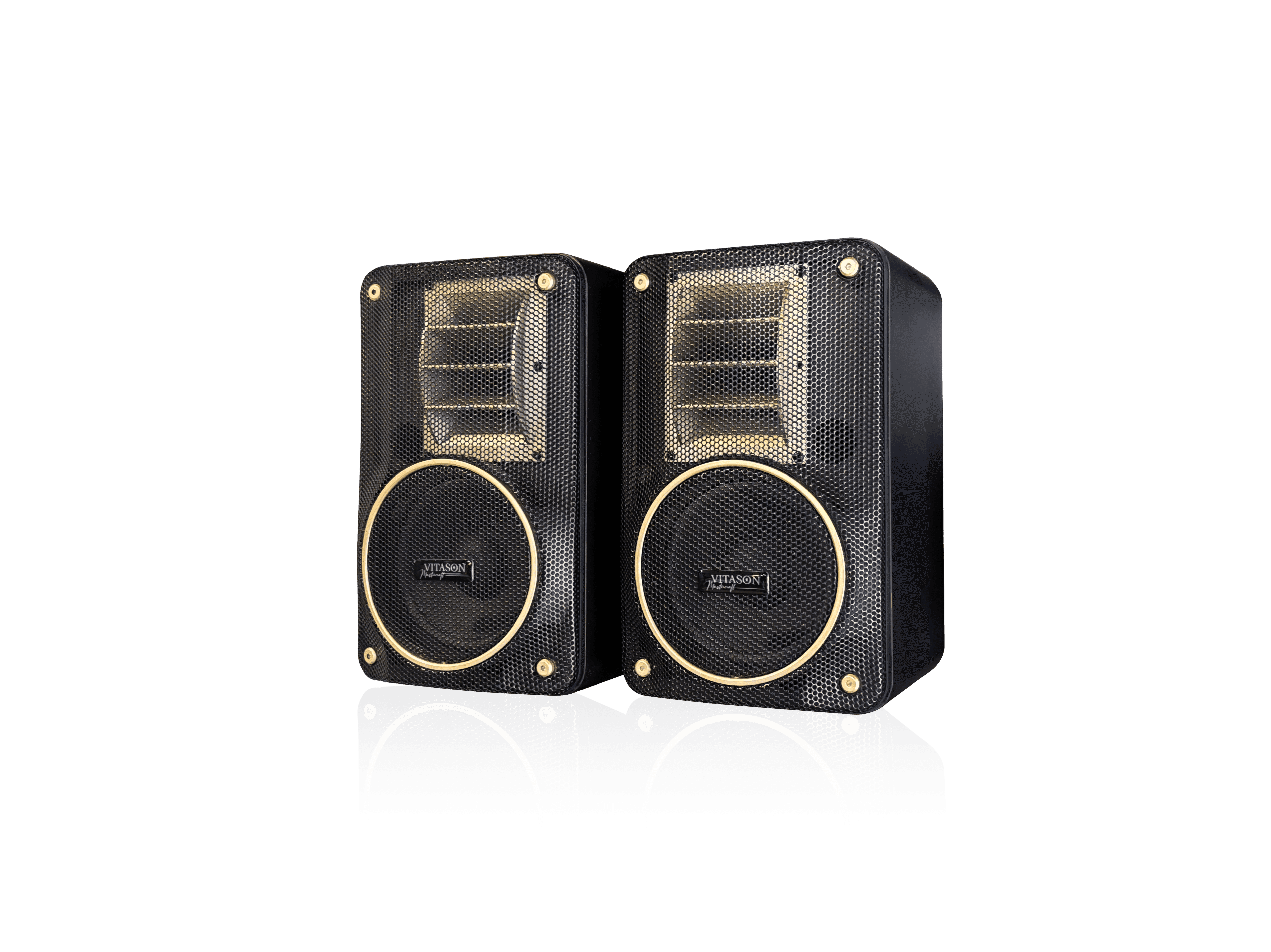 Vitason Active Speaker Subwoofer SW-12