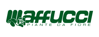 Logo Maffucci