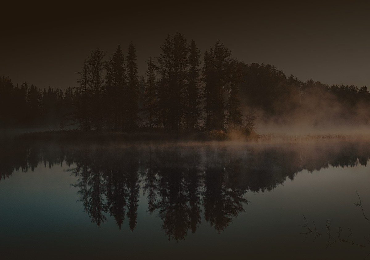 Hero image – hands and coffee cup