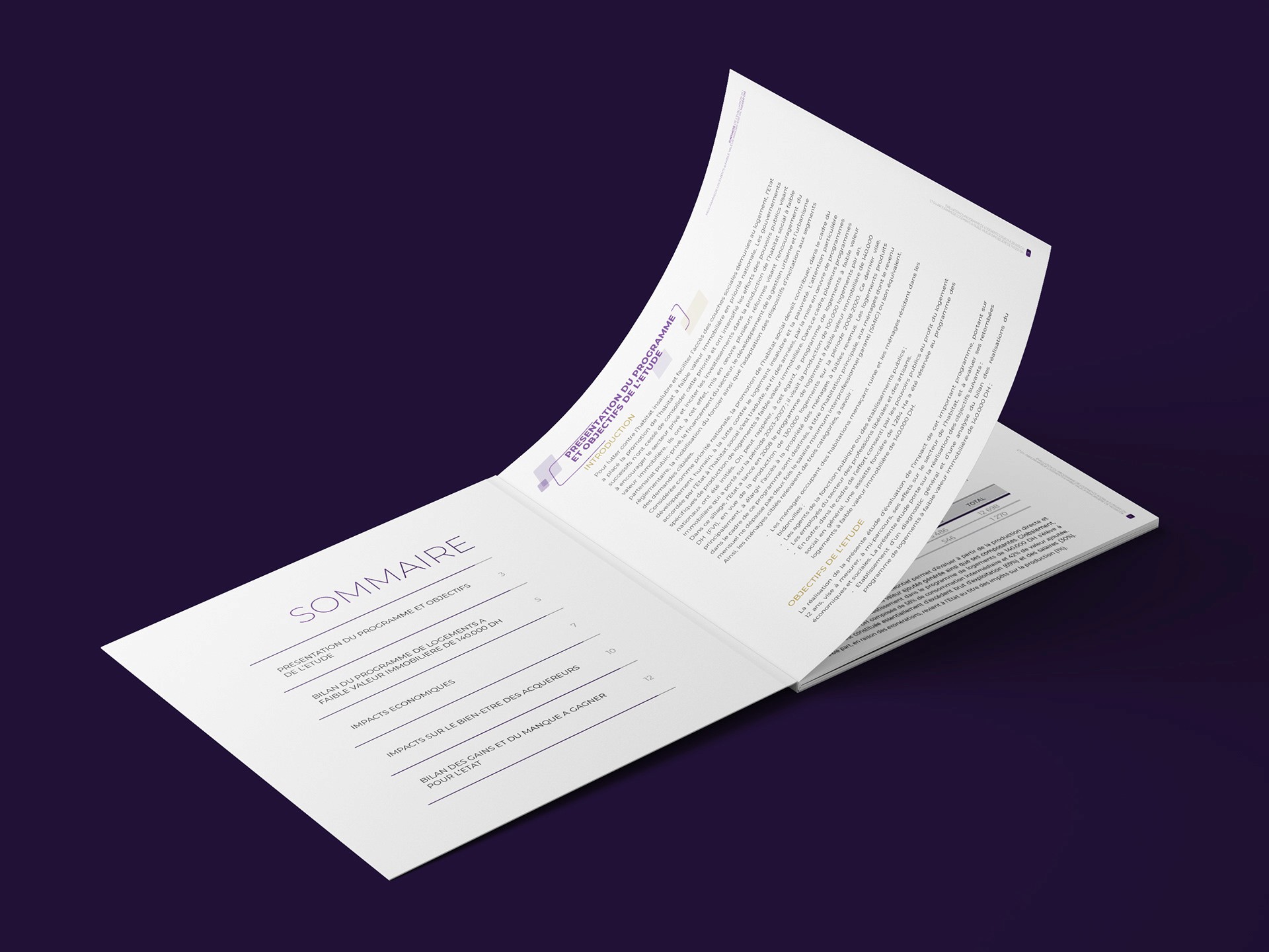 Brochure presentation 3