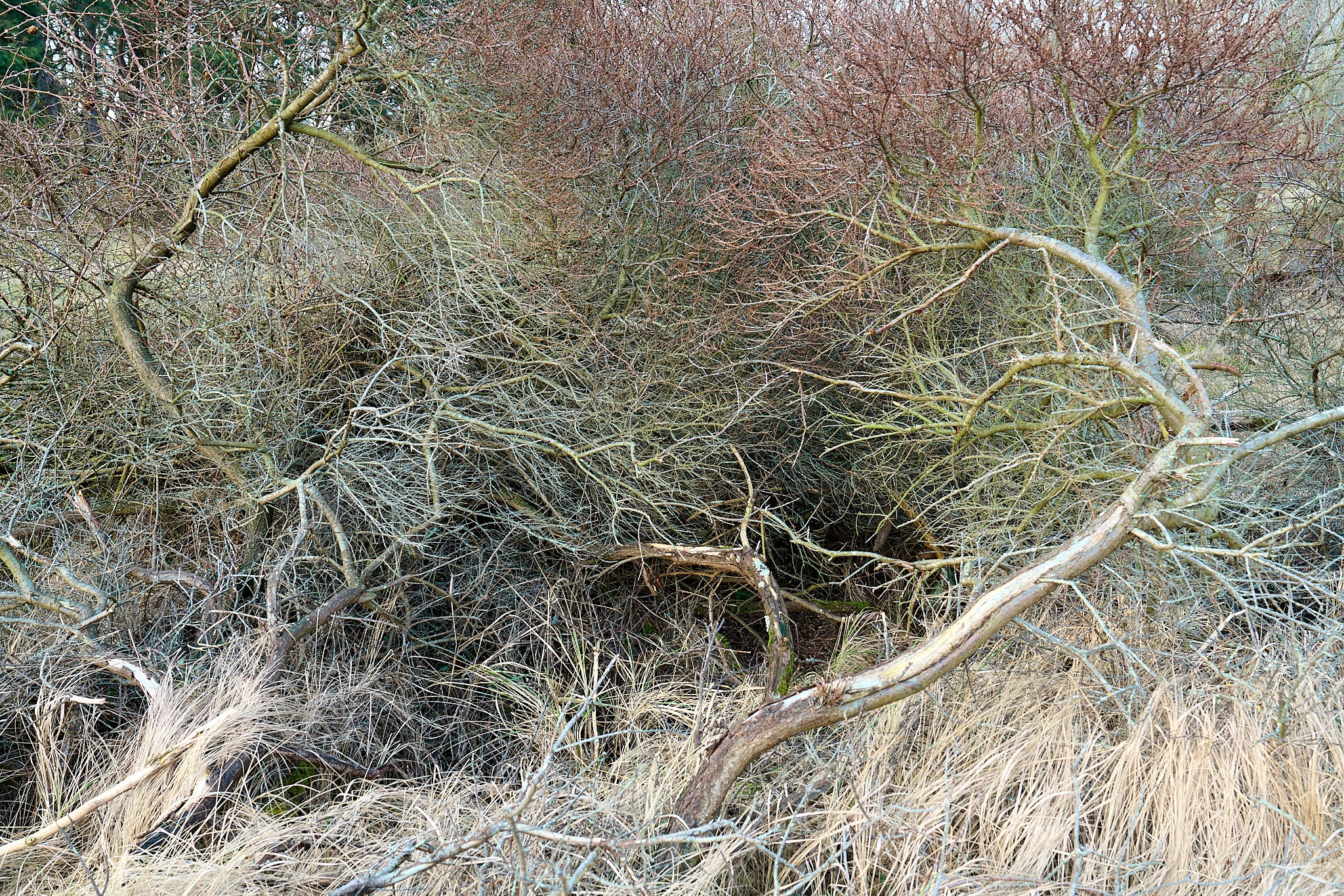 z.t. - serie 'Light in a Concrete World' #6057 | fine art print op katoenpapier | 90x60cm | 2025