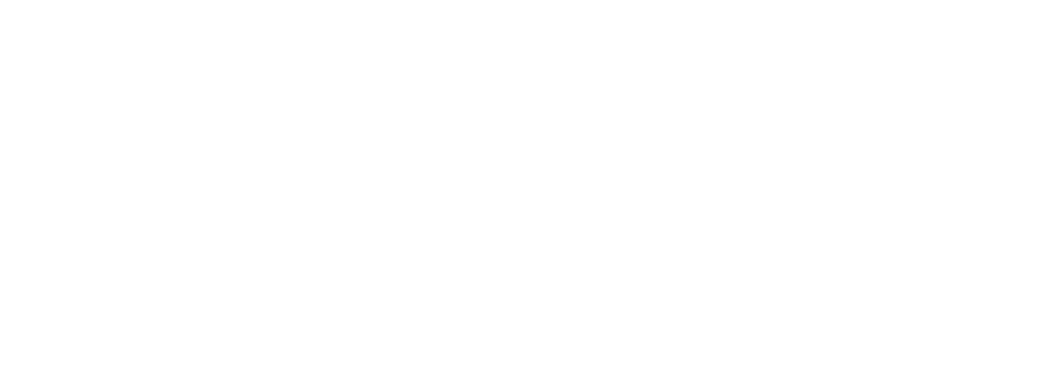 Rubber Penguin Wordmark