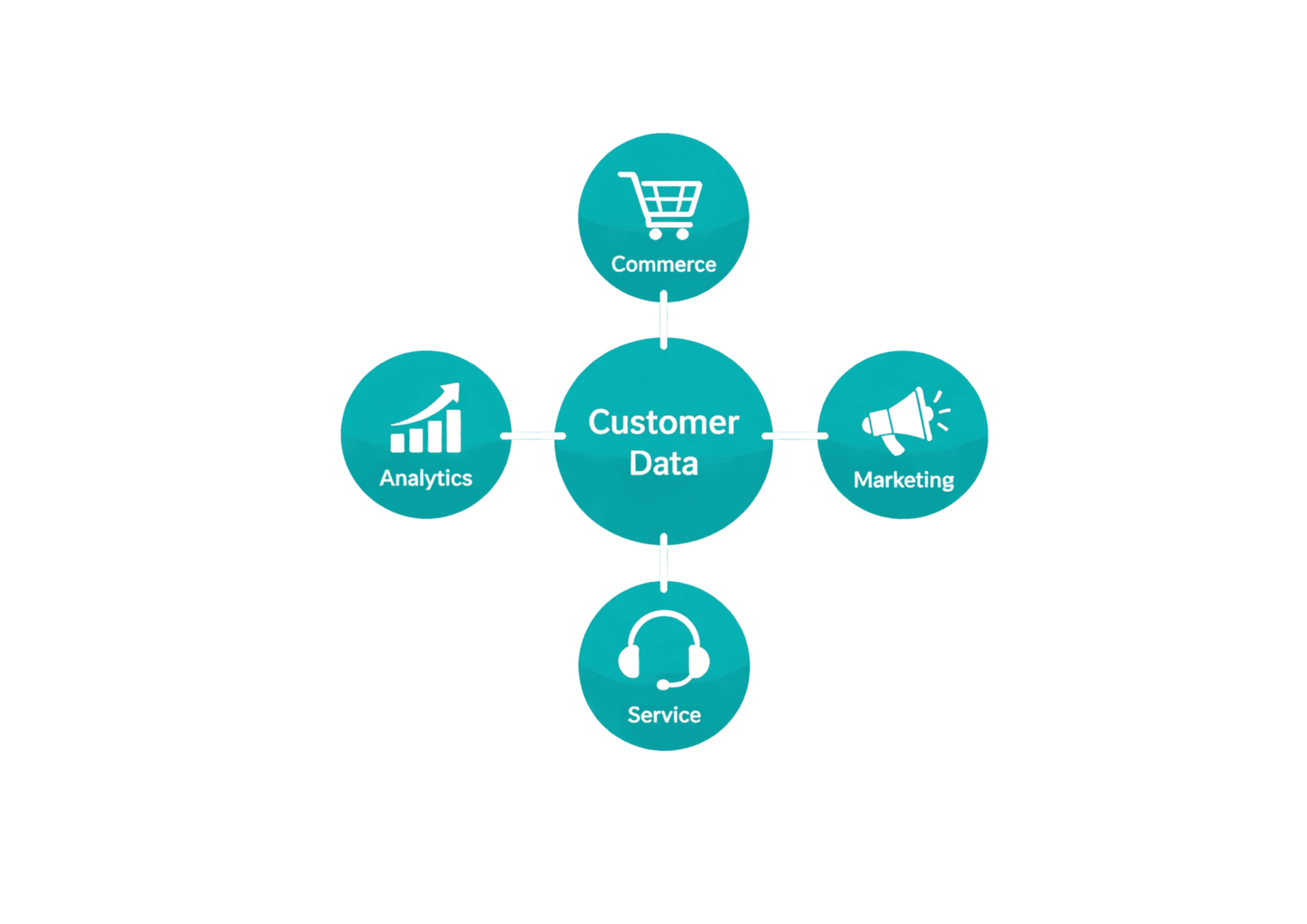 Centered diagram showing “Customer Data” connected to Commerce, Analytics, Marketing, and Service.