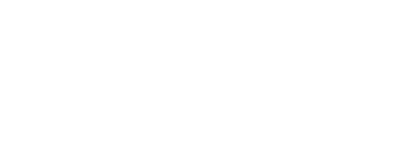 Network & Growth white logo