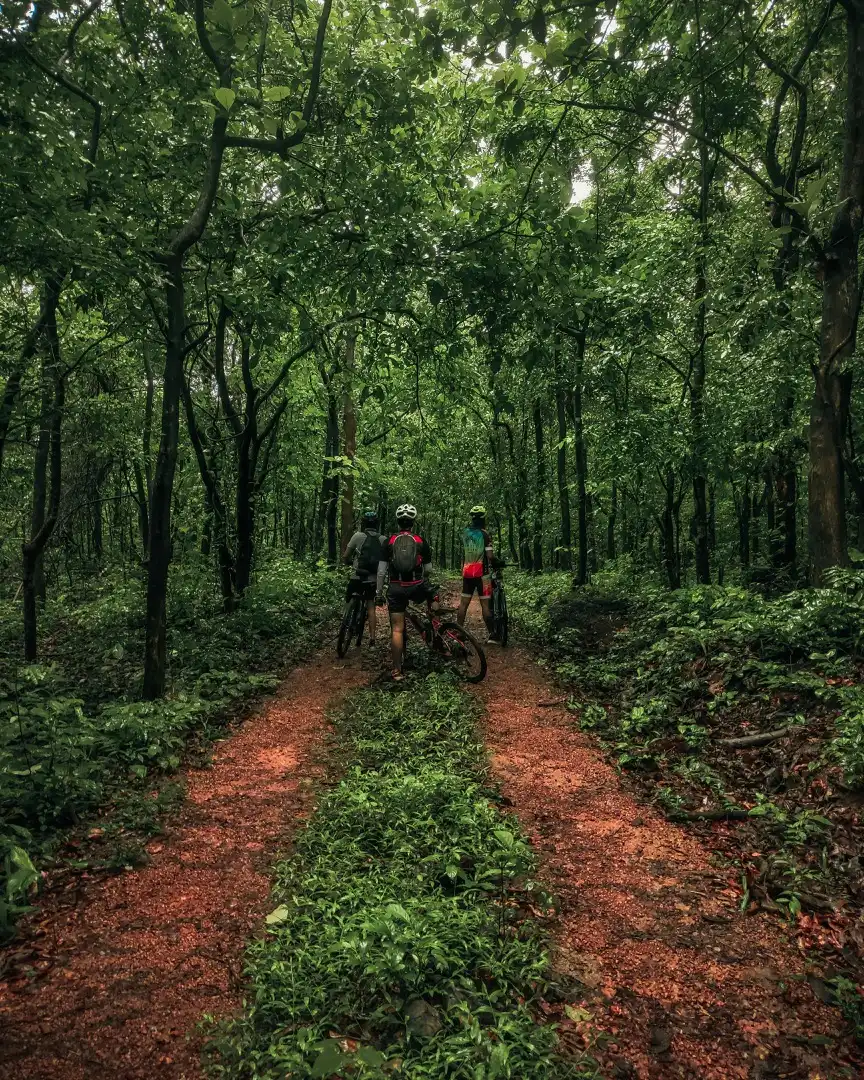 cyclists pause and plan their next move on the trail