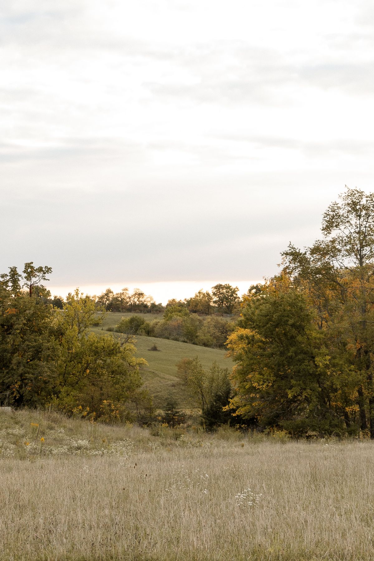 Nature background image