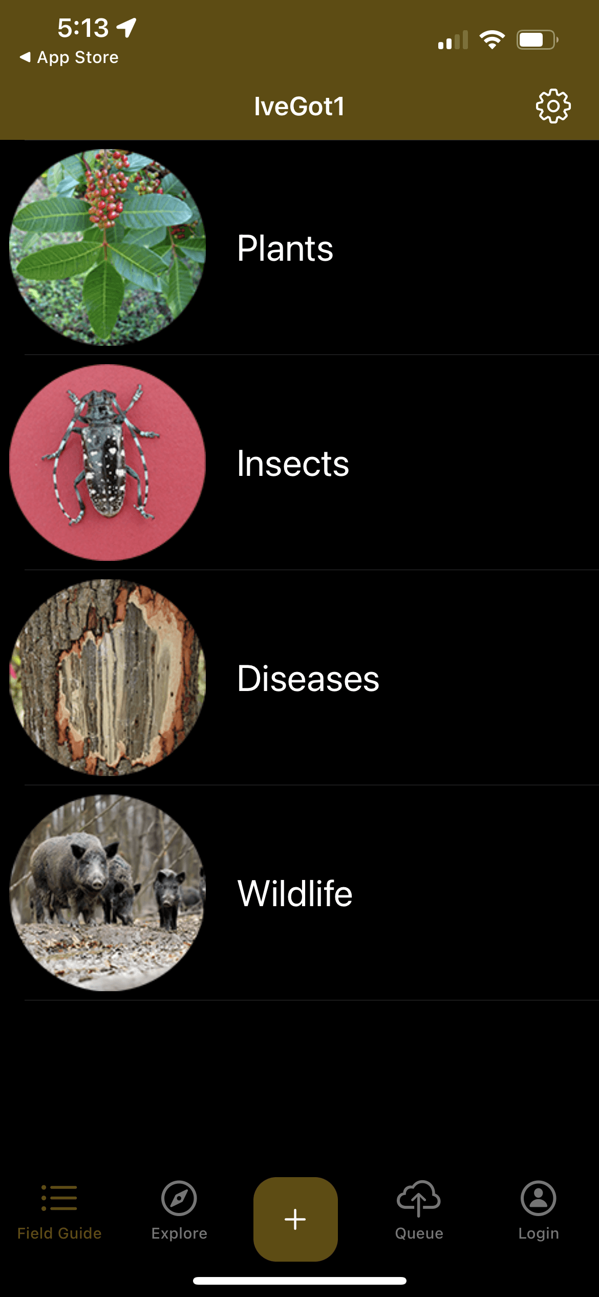 screenshot from IveGot1 with 4 main wildlife categories