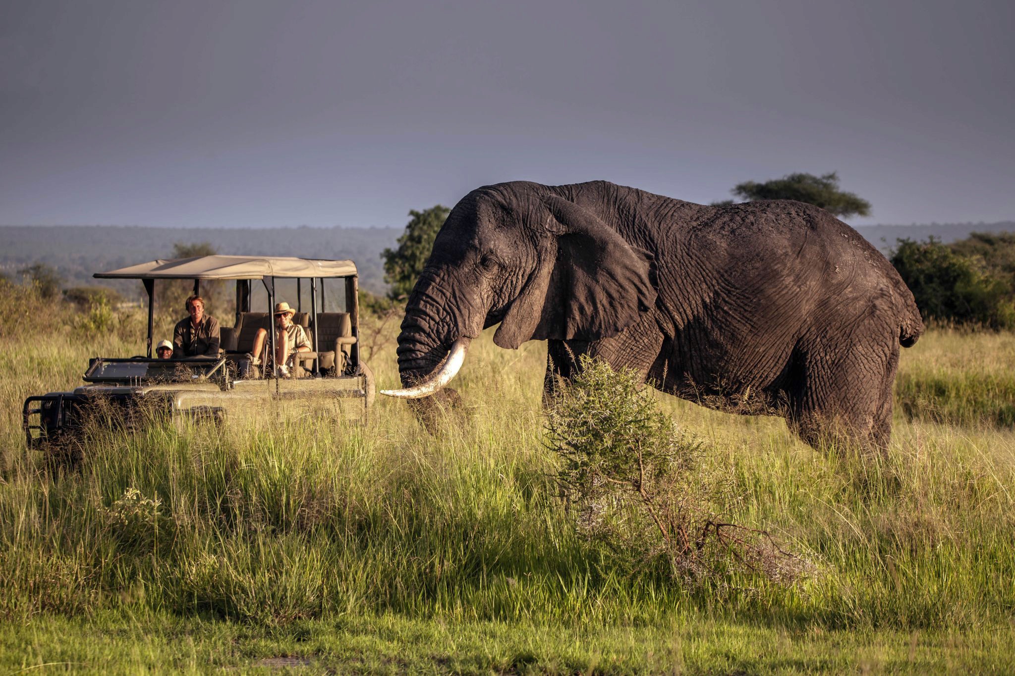 Tourists on a gamedrive in Kidepo Valley National Park