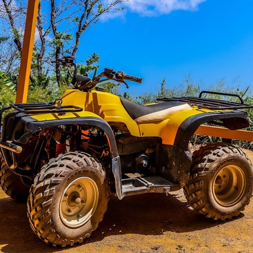 巴東:ATV騎乘 + 大佛之旅的票在巴東