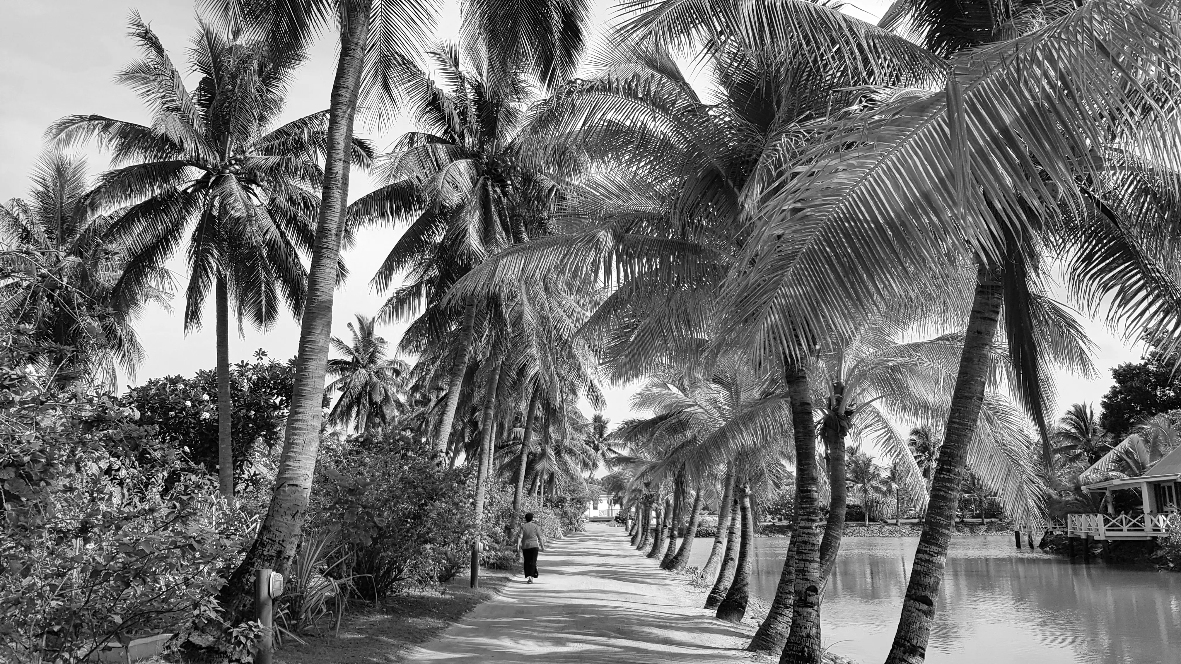Palm-lined pathway beside tropical lagoon in Fiji Islands, destination for private jet charter flights, aircraft charter and helicopter transfers across Fiji and the South Pacific