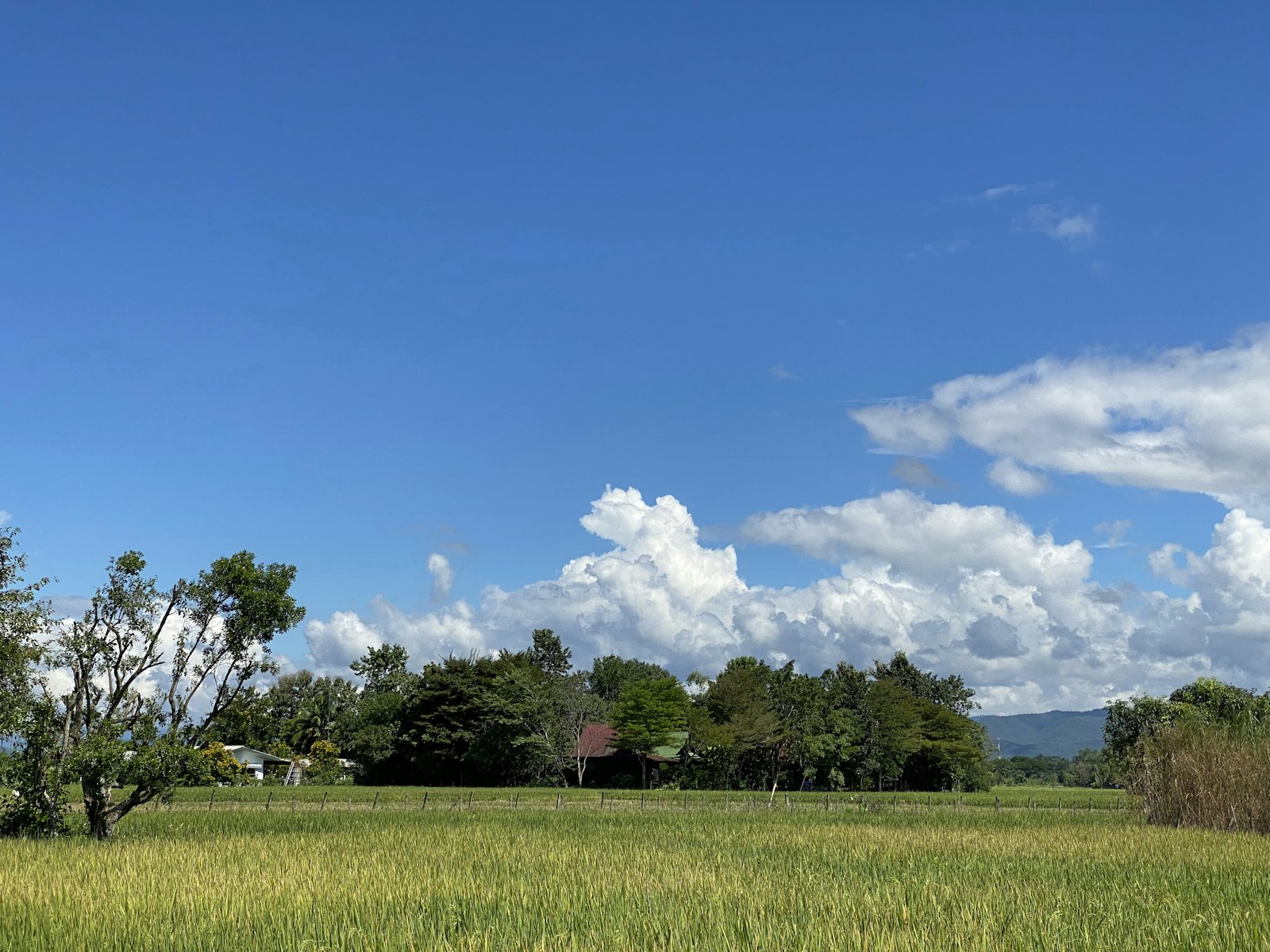 Northern Thailand Countryside
