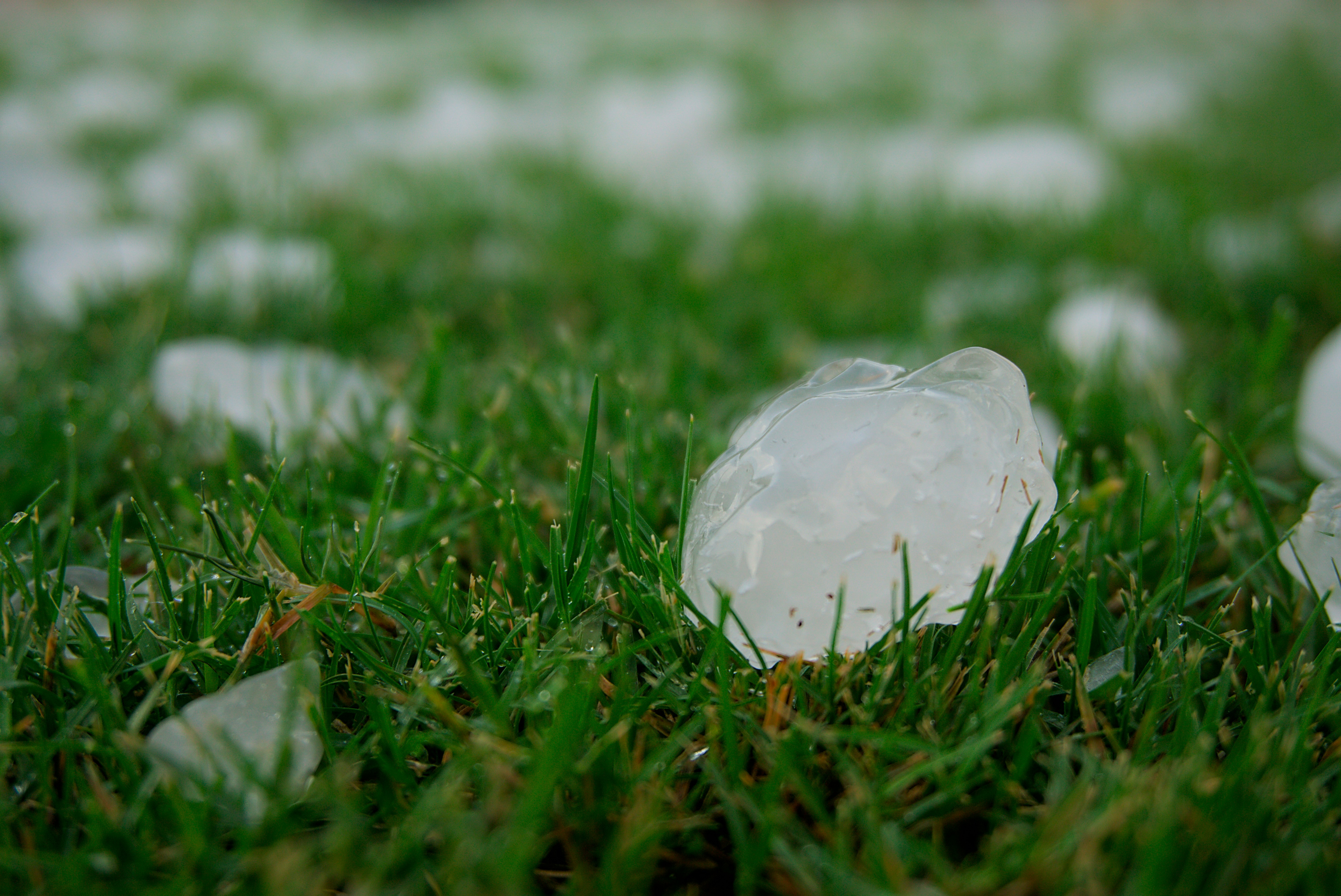 Hail Damage Gold Coast