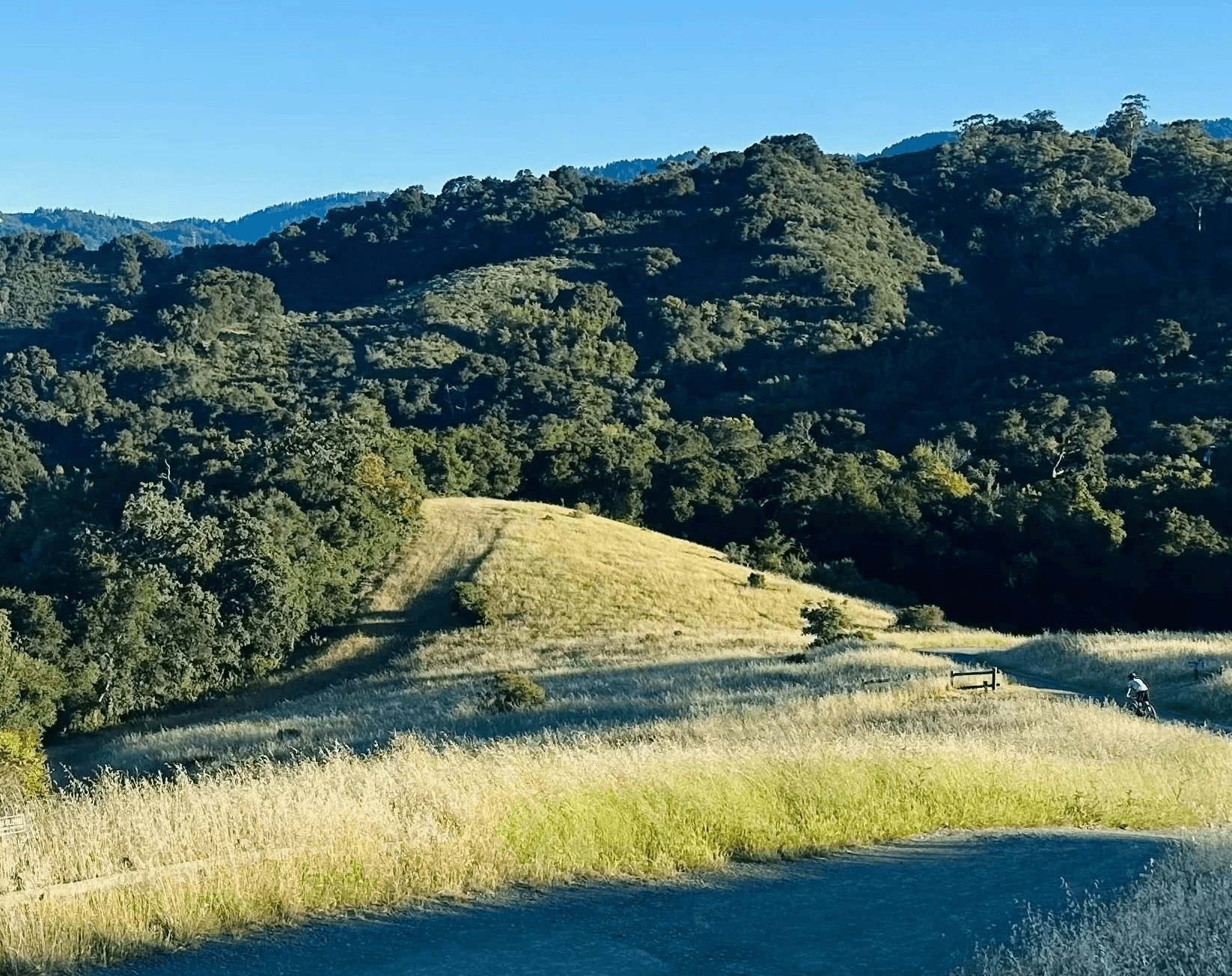 Image of the place currently living